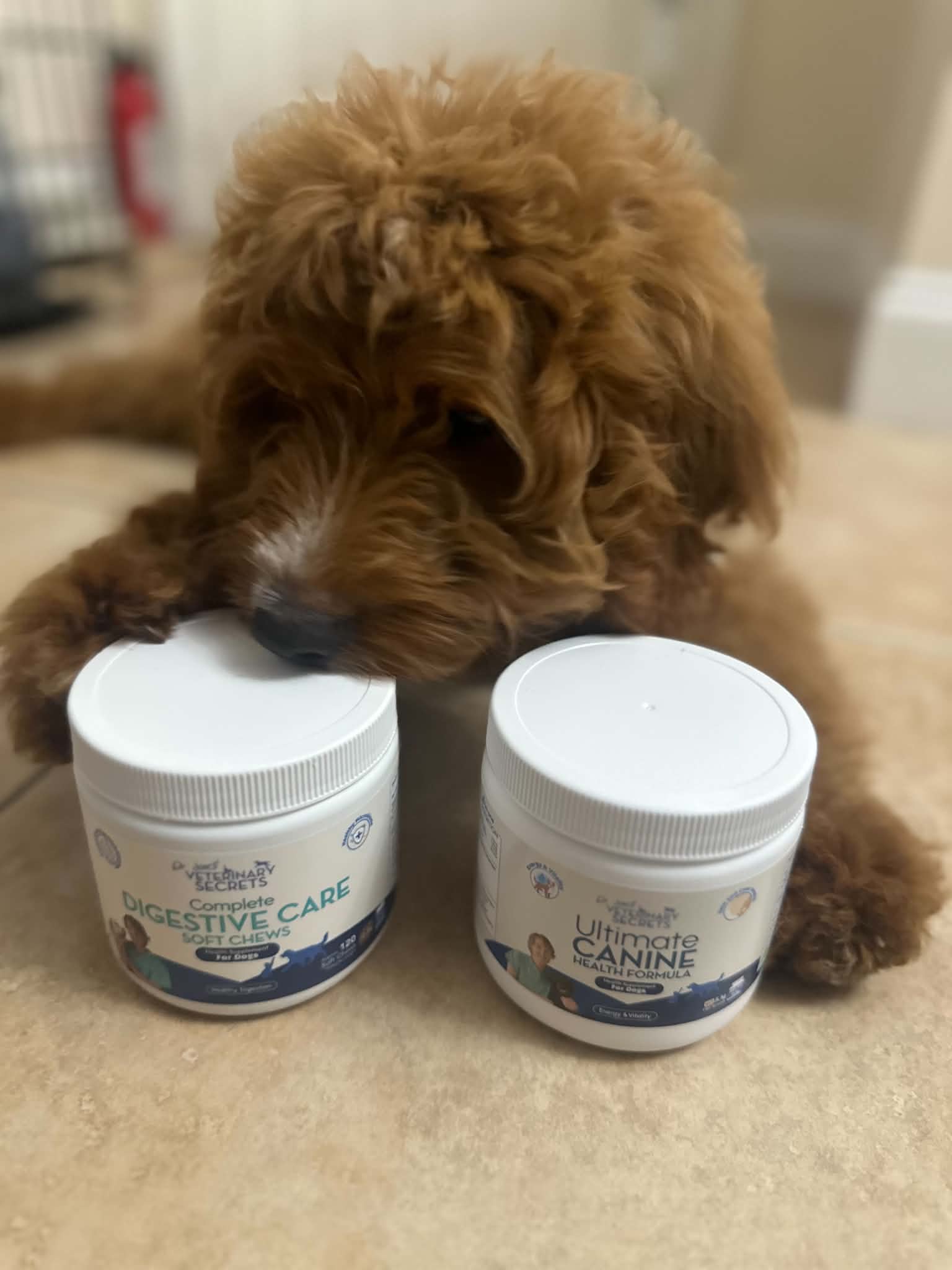 A real photo of Dr. Jones’ Complete Digestive Care Soft Chews (120 Count) by Joedami Kaye Monteclaro (2)